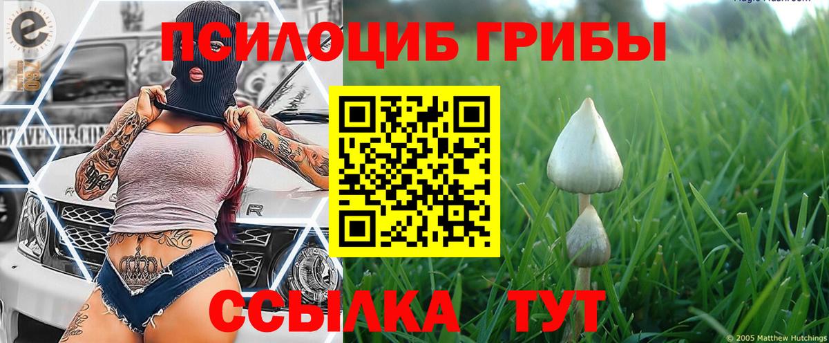 даркнет сайт  Галлюциногенные грибы ЛСД  Псилоцибиновые грибы Cubensis  Вход с VPN  Усть-Илимск 